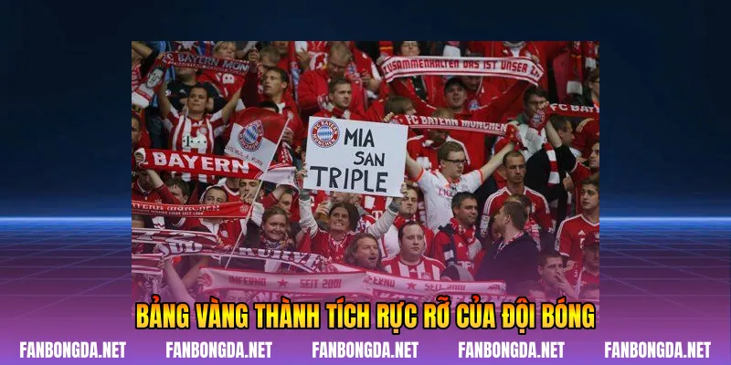 Bảng vàng thành tích rực rỡ của đội bóng